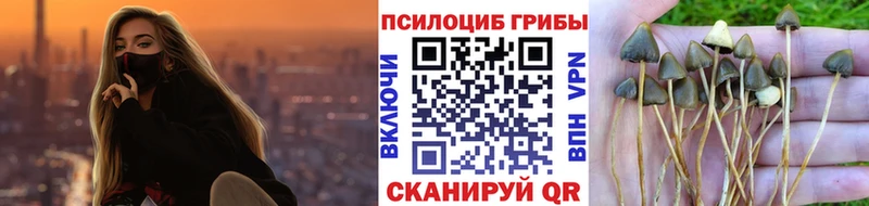 Галлюциногенные грибы ЛСД  Новошахтинск 